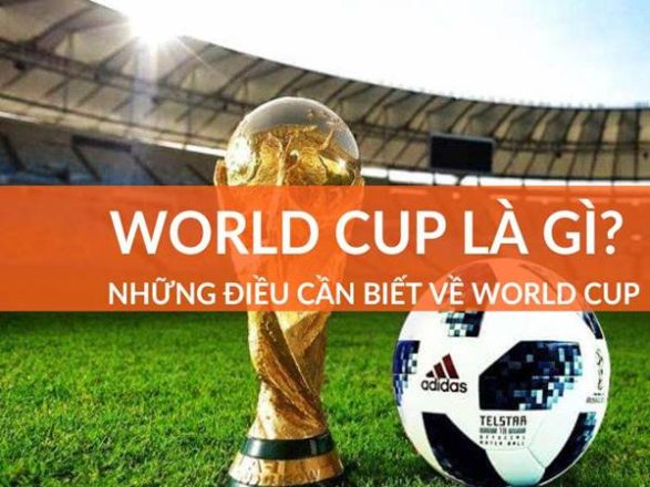 World Cup là gì? Những điều bạn nên biết về giải World Cup